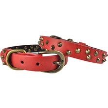 Feyza Design Orta Boy Deri Köpek Tasması, 45 Cm, Şık ve Dayanıklı Tasarım