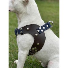 Feyza Design Ayarlanabilir Köpek Göğüs Tasması Orta ve Büyük Irk, Kot ve Deri, Koyu Mavi & Vizon