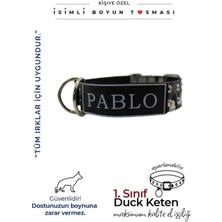 Feyza Design Kişiye Özel K9 Köpek Boyun Tasması, Rahat ve Şık Tasarım