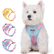 Feyza Design Köpek Tasması ve Gezdirme Halatı Seti, Reflektörlü Güvenli Seyahat