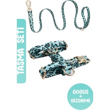 Feyza Design Köpek Kaçış Önleyici Tasma Seti Göğüs ve Gezdirme Tasması Blue Leo