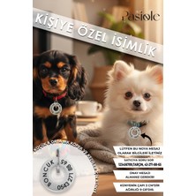 Feyza Design Dayanıklı Çelik Köpek ve Kedi Isimlikleri, Tasma ve Madalyon Seti