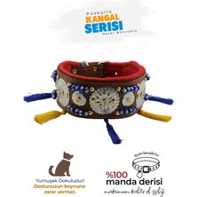 Feyza Design Püsküllü Deri Köpek Boyun Tasması, Güçlü ve Şık Tasarım