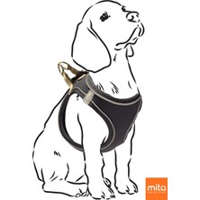 Feyza Design Nefes Alabilir Köpek ve Kedi Göğüs Tasma Çift Reflektörlü, Konforlu Kullanım