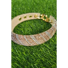 Feyza Design Parlak Roze Altın Tasmalı Şık Köpek Kolyesi, Şıklığa Zarafet Katıyor