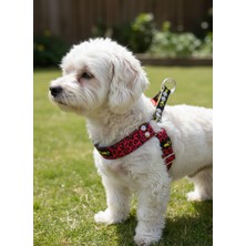 Feyza Design Sevimli Pati Desenli Ayarlanabilir Köpek Göğüs Tasma Seti
