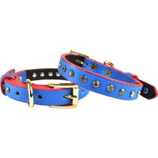 Feyza Design Şık Deri Köpek Tasması, 35CM, Zarif ve Dayanıklı Tasarım