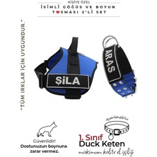 Feyza Design Kişiye Özel K9 Köpek Tasması ve Göğüs Boyun Tasma Seti