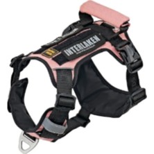 Feyza Design Hafif ve Konforlu Köpek Koşum Takımı, Küçük ve Büyük Irklar Için Ideal