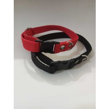 Feyza Design Çiftli Köpek ve Kedi Tasma Seti, 25-35 Cm, Şık ve Dayanıklı Tasarım