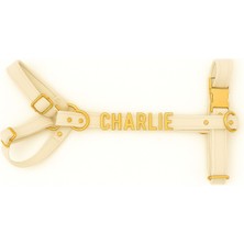 Feyza Design Özel Isimli H Model Kadife Köpek Göğüs Tasması ve Gezdirme Kayışı Seti