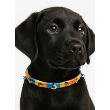 Feyza Design Çok Renkli Nazar Boncuklu Gümüş Kaplama Köpek Kolyesi