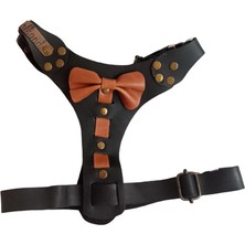 Feyza Design Ayarlanabilir Hakiki Deri Köpek Göğüs Tasması, Sırttan Çekmeli, Küçük ve Orta Irk