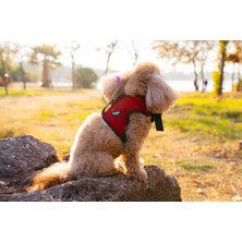 Feyza Design Nefes Alabilen Airmesh Köpek ve Kedi Göğüs Tasması, Kırmızı Renk