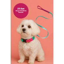 Feyza Design Ayarlanabilir Köpek Boyun ve Gezdirme Tasma Seti, Rahat ve Şık Tasarım