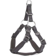 Feyza Design Siyah Comfort Ronin Köpek Göğüs Tasması, Xxs 25X30 cm