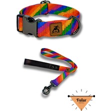 Feyza Design Renkli Köpek Boyun Tasması ve Gezdirme Seti + Hediye Fular
