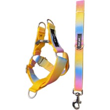 Feyza Design Renkli Iki Ayak Tasma Seti, Rahat ve Güvenli Kullanım Için Tasarlandı