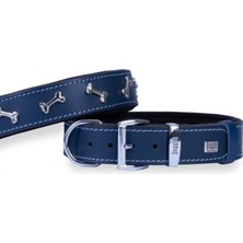 Feyza Design Renkli Deri Köpek Boyun Tasması, Rahat ve Şık, Orta Boy, 42-50 cm