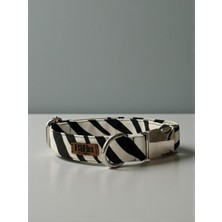 Feyza Design Renkli Köpek Boyun Tasması, Şık ve Konforlu Tasarım, Charm Hediye