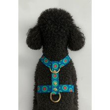 Feyza Design H Tipi Pla Köpek Göğüs Tasması, Rahat ve Güvenli Kullanım Sağlar