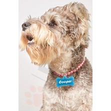 Feyza Design Pembe Incili Şık Köpek Tasması ve Kolyesi, Zarif ve Konforlu Tasarım