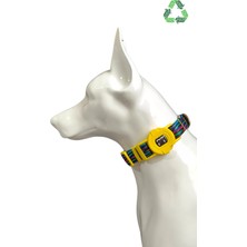 Feyza Design Renkli Yumuşak Köpek Boyun Tasması, Konfor ve Şıklık Için Ideal