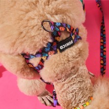 Feyza Design Sevimli Köpek Göğüs Tasması, Rahat ve Güvenli Takım, Renkli ve Şık Tasarım