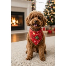 Feyza Design Yılbaşı Temalı Köpek Boyun Tasması, Kırmızı Renkli ve Çıkarılabilir Fular