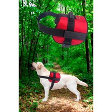 Feyza Design Sağlam ve Rahat Köpek Göğüs Tasması, Güvenle Kullanım Için Ideal