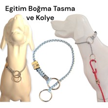 Feyza Design El Yapımı 16 Kg'a Kadar Uslu ve Sakin Köpek Eğitim Tasması