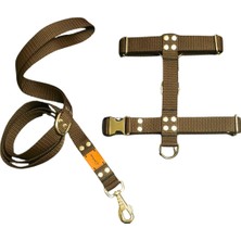 Feyza Design Renkli H Tipi Köpek Tasması ve Gezi Kayışı Seti, Konforlu ve Güvenli Kullanım