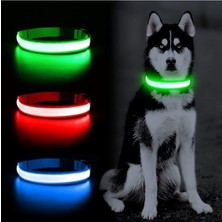 Feyza Design Işıklı, 3 Fonksiyonlu, M Beden, Şık ve Güçlü Tasarım Boyun Tasması