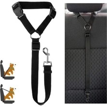 Feyza Design Yavru Köpek ve Kedi Için Güvenli Seyahat Tasma ve Emniyet Kemeri Seti