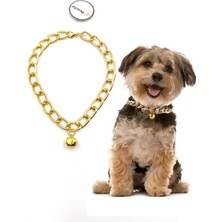 Feyza Design Ayarlanabilir Köpek Boyun Tasması ve Zincir Kolye, Şık ve Konforlu Kullanım