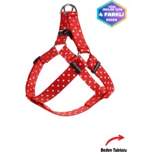 Feyza Design Renkli Puan Desenli Çok Ayarlı Köpek Göğüs Tasması, Tüm Irklara Uygun