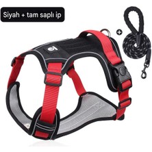 Feyza Design Renkli ve Reflektörlü Köpek Tasması ile Güvenle Gezdirin