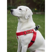Feyza Design Ayarlanabilir Nubuk Deri Köpek Göğüs Tasması Kırmızı ve Siyah