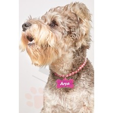 Feyza Design Pembe Incili Köpek Tasması ve Kolyesi, Şık ve Zarif Tasarım