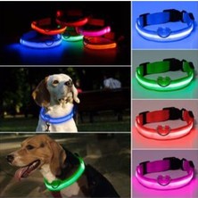 Feyza Design LED Işıklı Köpek ve Kedi Boyun Tasması, Ayarlanabilir ve Şık Tasarım