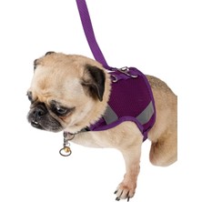 Feyza Design Nefes Alan Köpek Tasması ve Göğüs Boyun Tasma Seti, Reflektörlü, Kayışlı