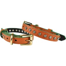 Feyza Design Şık Deri Köpek Tasması, 35CM, Günlük Kullanım Için Uygun