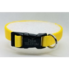 Feyza Design Sağlam ve Kişiye Özel Telefon Isimli Köpek Tasması, Yazısı Kalıcı ve Şık