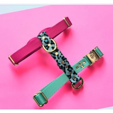 Feyza Design Renkli ve Şık Göğüs Tasması, Konforlu ve Dayanıklı Tasarım