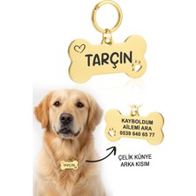 Feyza Design Altın Renk Çelik Köpek Isimliği, Kişiselleştirilebilir ve Şık Tasarım