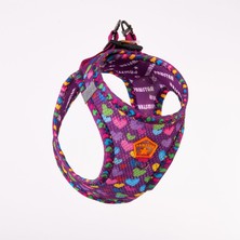 Feyza Design Airmesh Köpek ve Kedi Göğüs Tasması, Rahat ve Hafif Tasarım