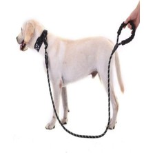 Feyza Design Reflektörlü Kalın Köpek Gezdirme Halatı, Büyük Boy, 130 cm