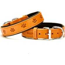 Feyza Design Yumuşak Dokulu Pati Desenli Köpek Boyun Tasması, Rahat ve Şık Tasarım