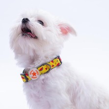 Feyza Design Karpuz Desenli Ayarlanabilir Köpek Boyun Tasması, Rahat ve Şık Tasarım