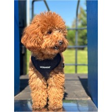 Feyza Design Kadife Göğüs Tasması, Şık ve Rahat Kedi ve Köpek Tasması